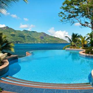 Swimming summer wallpaper