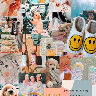 Summer 2023 wallpaper