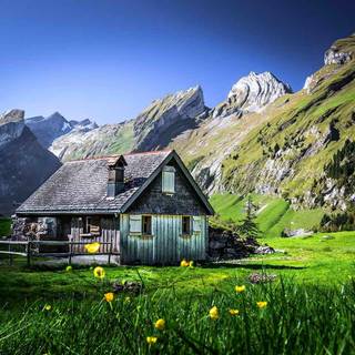 Cabin summer wallpaper