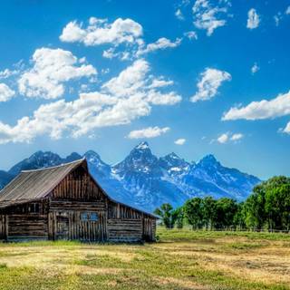 Cabin summer wallpaper