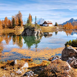 Cabin summer wallpaper