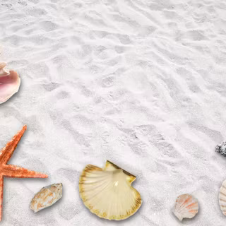 Beach summer party wallpaper