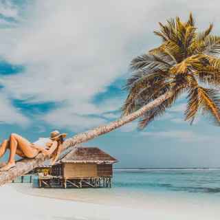 Beach summer party wallpaper