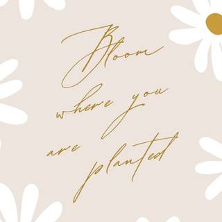 Aesthetic iPhone spring wallpaper