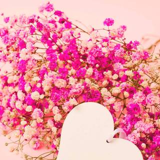 iPhone 12 cute spring wallpaper