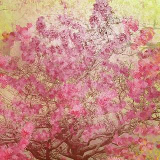 3840x2160 spring painting wallpaper