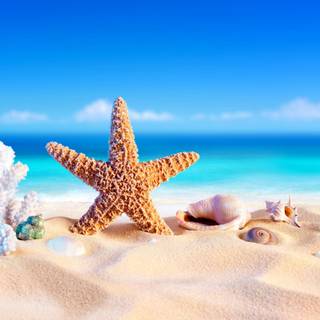 UHD summer wallpaper