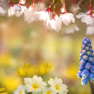 Spring panoramic wallpaper