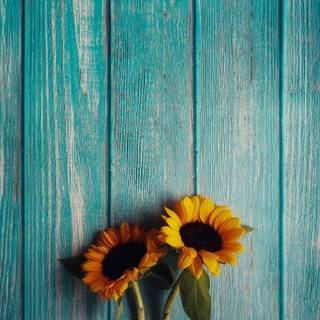 Summer rustic iPhone wallpaper