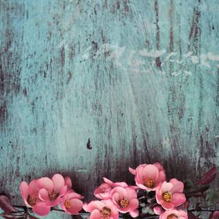 Summer rustic iPhone wallpaper