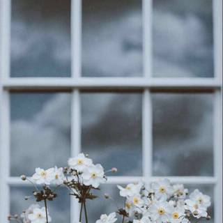 Summer rustic iPhone wallpaper