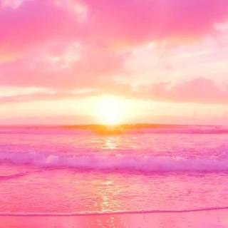 Sunset pink summer wallpaper