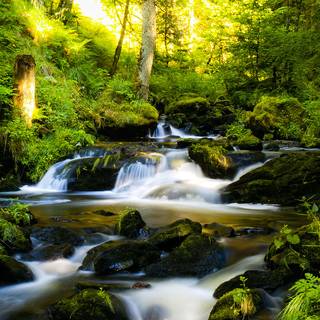 Spring panoramic wallpaper