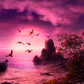 Sunset pink summer wallpaper