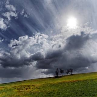 Spring panoramic wallpaper