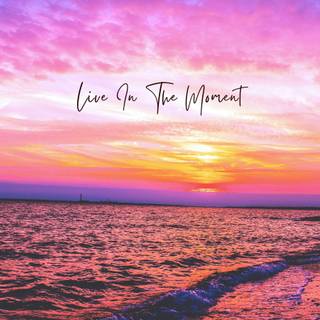 Sunset pink summer wallpaper