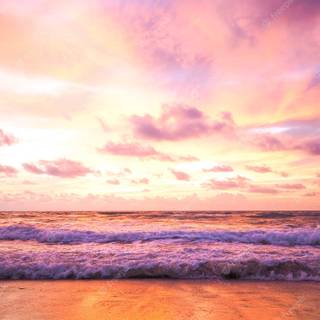 Sunset pink summer wallpaper