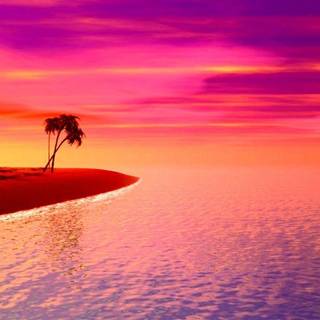 Sunset pink summer wallpaper