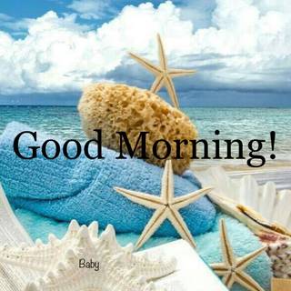 Nice summer morning wallpaper