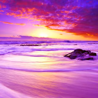 Sunset pink summer wallpaper