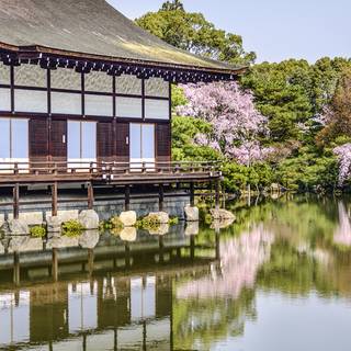 Spring panoramic wallpaper