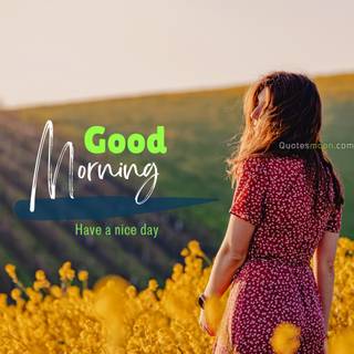 Nice summer morning wallpaper