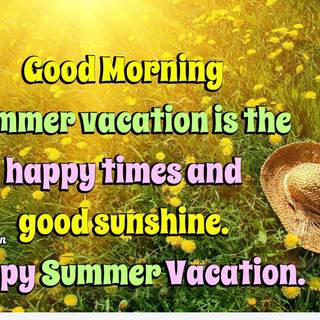 Nice summer morning wallpaper