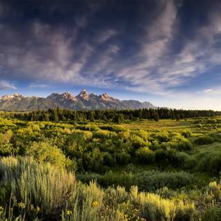 Nice summer morning wallpaper