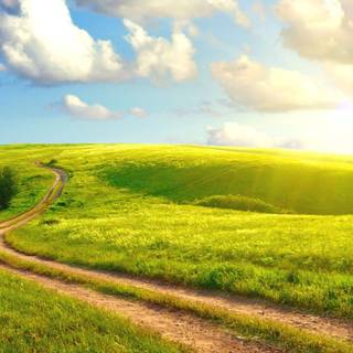 Nice summer morning wallpaper