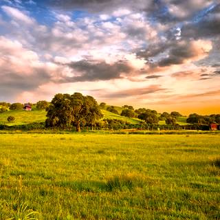 Nice summer morning wallpaper