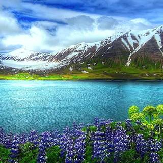 Spring panoramic wallpaper