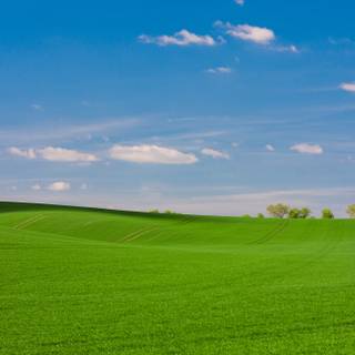 Spring panoramic wallpaper