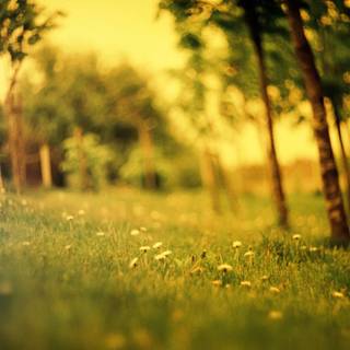 1920x1200 summer vibe HD wallpaper