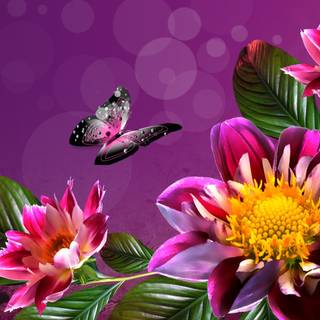 Summer flower laptop wallpaper