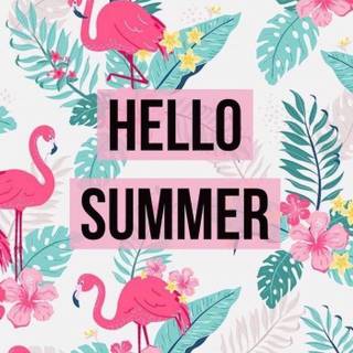 Pink aesthetic summer wallpaper
