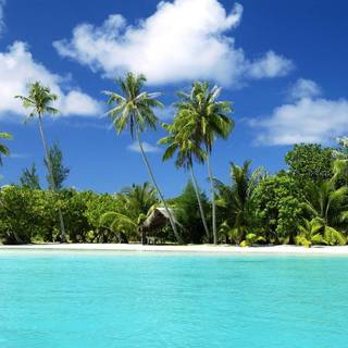 1920x1200 summer vibe HD wallpaper