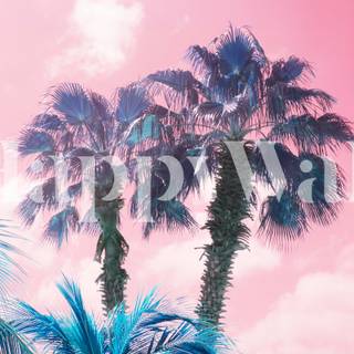Palms summer wallpaper