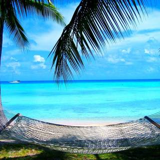 1920x1200 summer vibe HD wallpaper