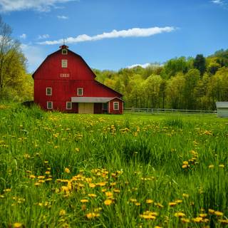 1920x1200 summer vibe HD wallpaper