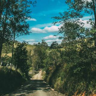 Summer street wallpaper