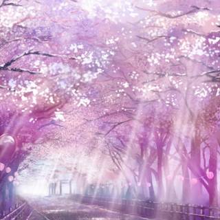 Landscape spring anime wallpaper