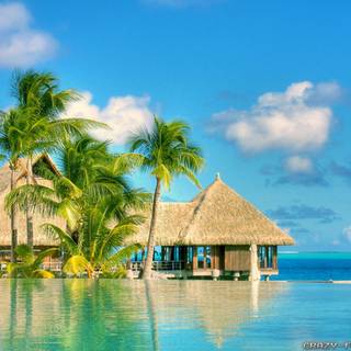 1920x1200 summer vibe HD wallpaper