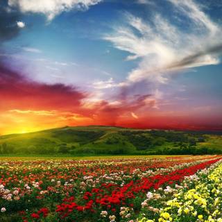 HD spring landscape wallpaper