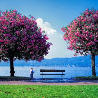 HD spring landscape wallpaper