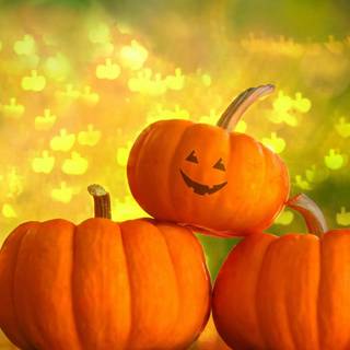 Cute Halloween pumkin wallpaper