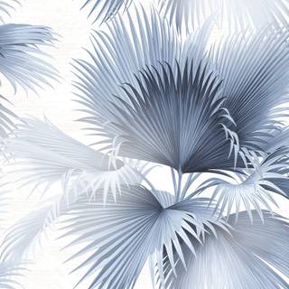 Palms summer wallpaper