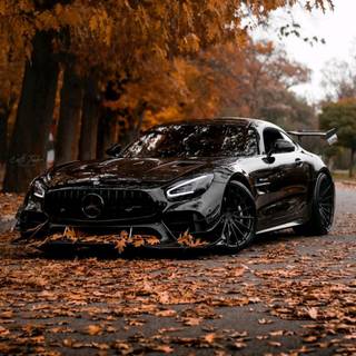 Mercedes-AMG GT R Pro wallpaper