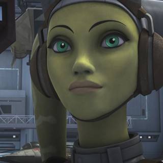 Hera Syndulla wallpaper