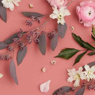 Flower aesthetic HD wallpaper