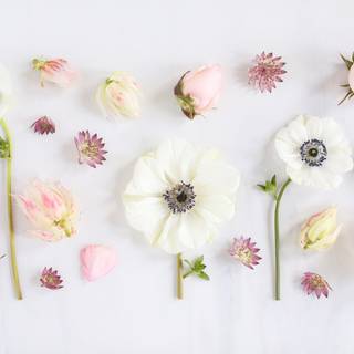 Flower aesthetic HD wallpaper